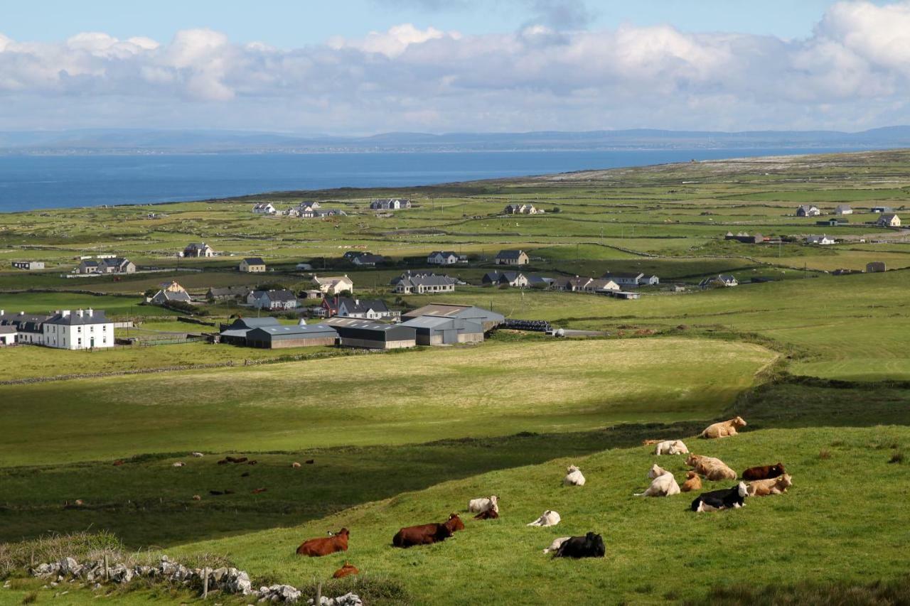 Atlantic Rose Cottage Doolin Luaran gambar